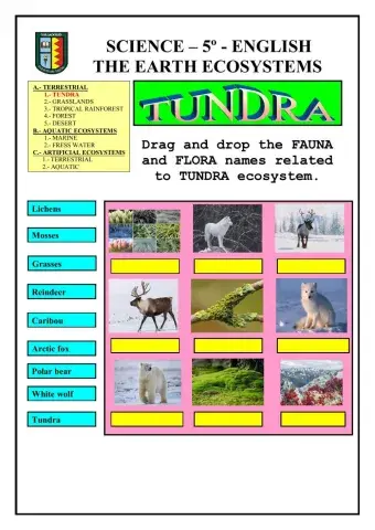 Ecosystems: terrestrial - tundra