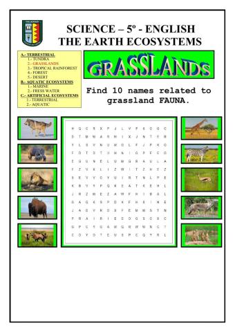 Ecosystems: terrestrial - grasslands