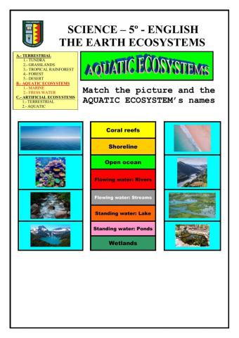 Ecosystems: aquatic - MARINE AND FRESSWATER