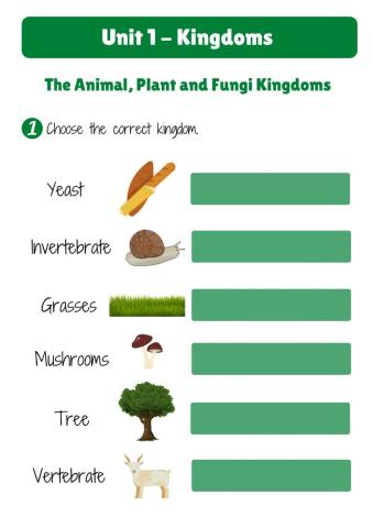 UnIt 1. THE PLANT, ANIMAL AND FUNGI KINGDOMS