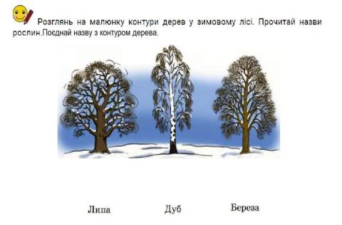 Рослини взимку