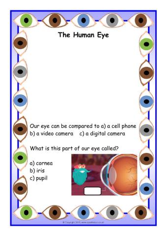The Human Eye