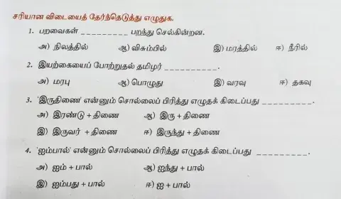 Viii-tamil- மரபு-test001