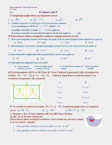 Evaluare sumativă, cls a VII-a, sem I,nr1