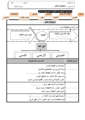 ورقة 16تفاعلية3