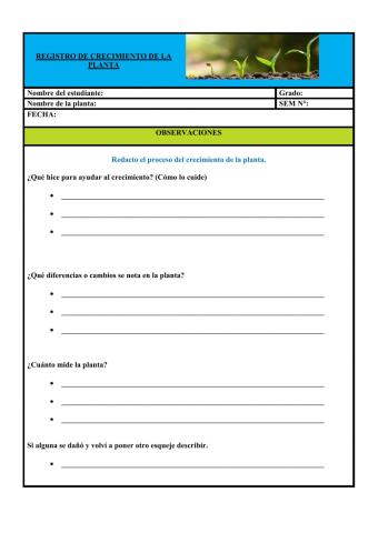 Cuidado de una planta