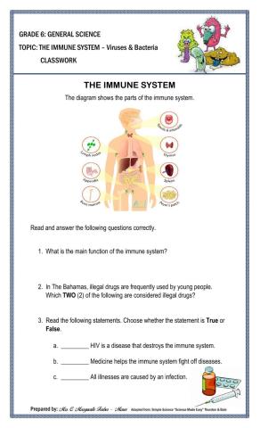 The Immune System Classwork