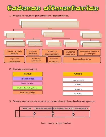 Cadenas alimentarias