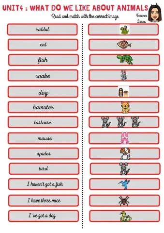 Unit 4: What do we like about animals?