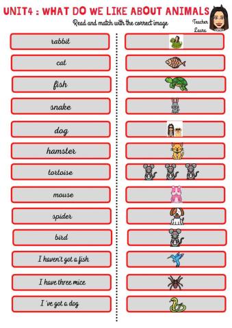 Unit 4: What do we like about animals?