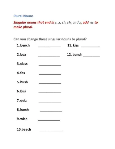 Singular and Plural Nous- Adding es