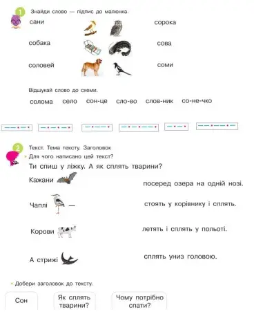 Закріплення вивчених букв, буква Сс