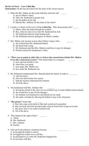 Review of Novel Cow Called Boy