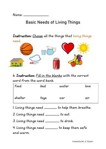 Basic Needs of Living things