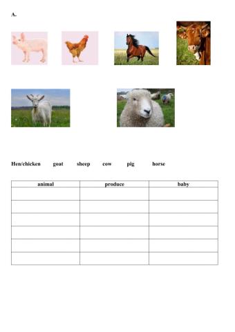 Vocabulary in use elementary