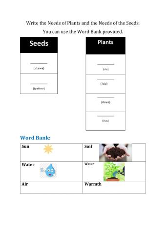 Needs of plants and seeds