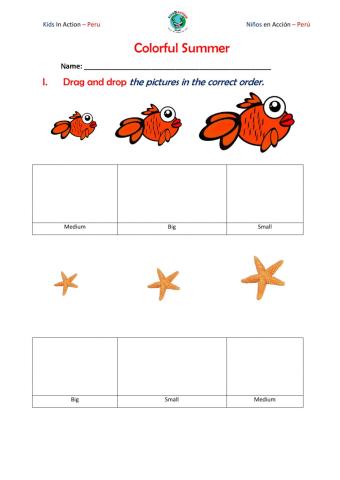 Colorful Summer 13-01