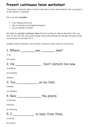 Present Continuous Tense