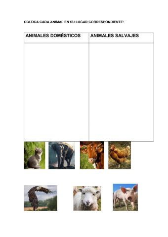 Animales domésticos y salvajes
