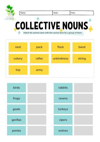 Montessori Lesson - English Language - Collective Nouns 2