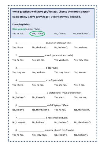 Have got: questions and short answers