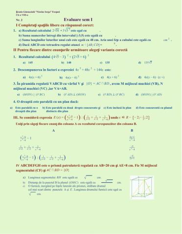 Evaluare sumativă, cls a VIII-a, sem I,nr2