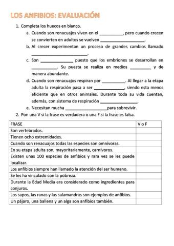 Los anfibios- evaluación