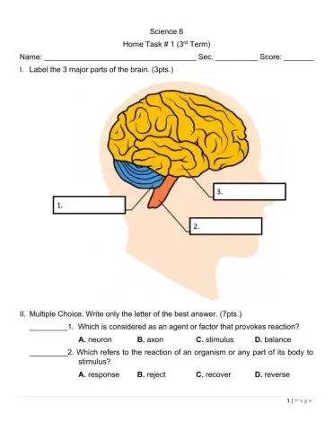 Science 6 - Home Task - 1 (Nervous System)