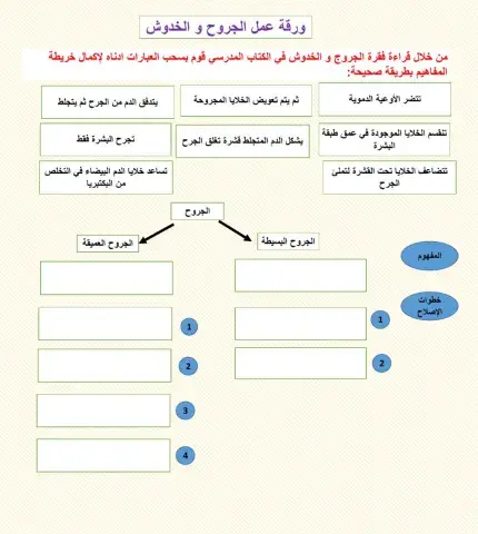 ورقة عمل الجروح و الخدوش