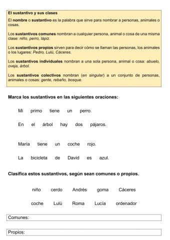 Los sustantivos y sus clases