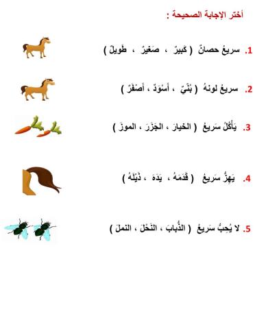 الحصان سريع