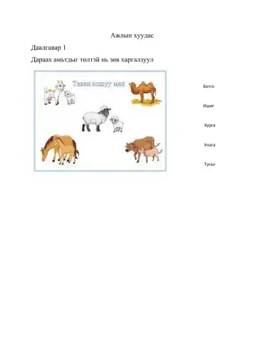 Ажлын хуудас- даалгавар