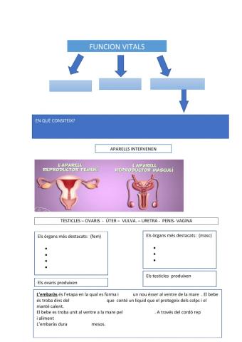 Funcionarios de reproducció