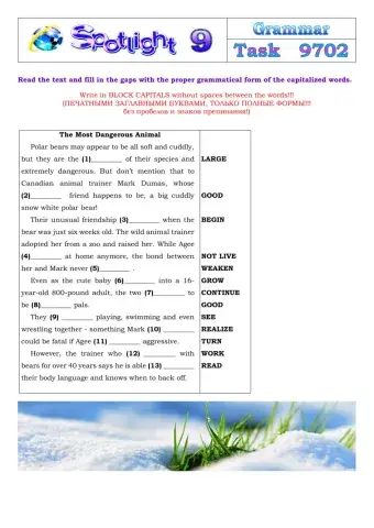 Spotlight 9 Task 9702