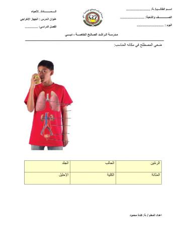 الجهاز الإخراجي