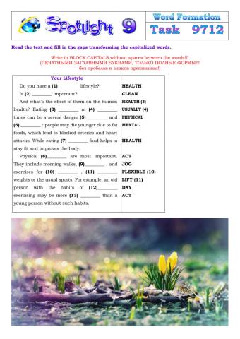 Spotlight 9 Task 9712