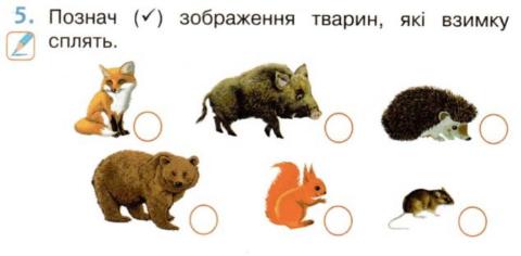 Зміни в природі взимку2