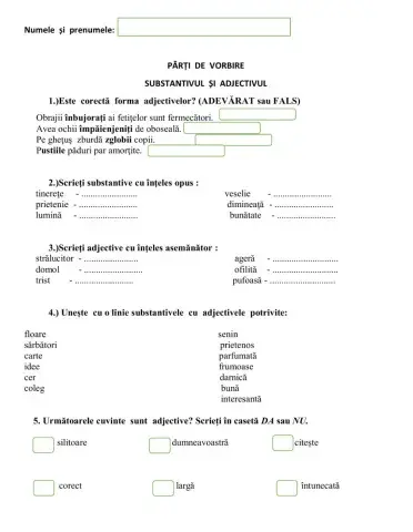 Substantivul și adjectivul