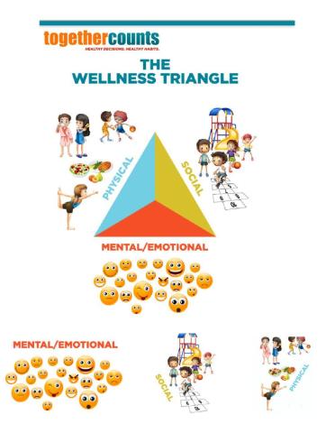 Wellness triangle