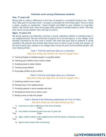 Volunteer work in Vietnam