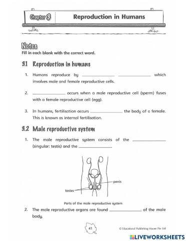 5E2 Reproduction in humans