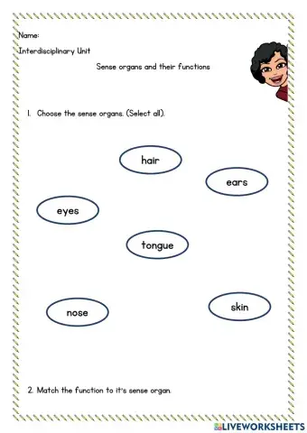 Sense organs and functions