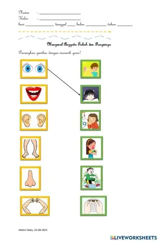 Bagian dan Fungsi Anggota Tubuh