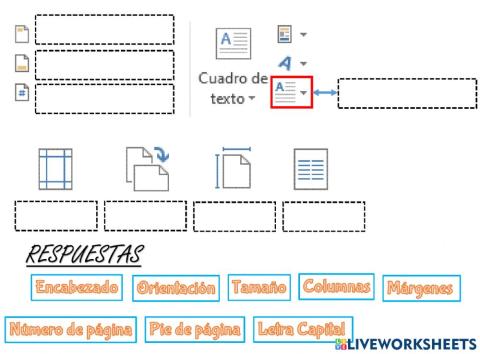 Cintas Insertar y Diseño de página