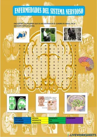 Sopa de letras de enfermedades del sistema nervioso.