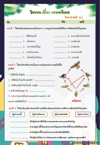 ระบบนิเวศ