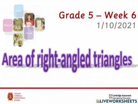 Maths area  of  a  right  angled  triangle