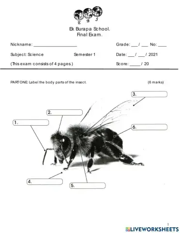 Science final semester 1
