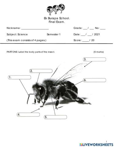 Science final semester 1