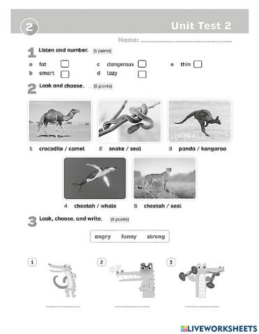 Unit 2- Stop and Check